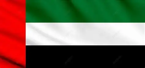 UAE Flag